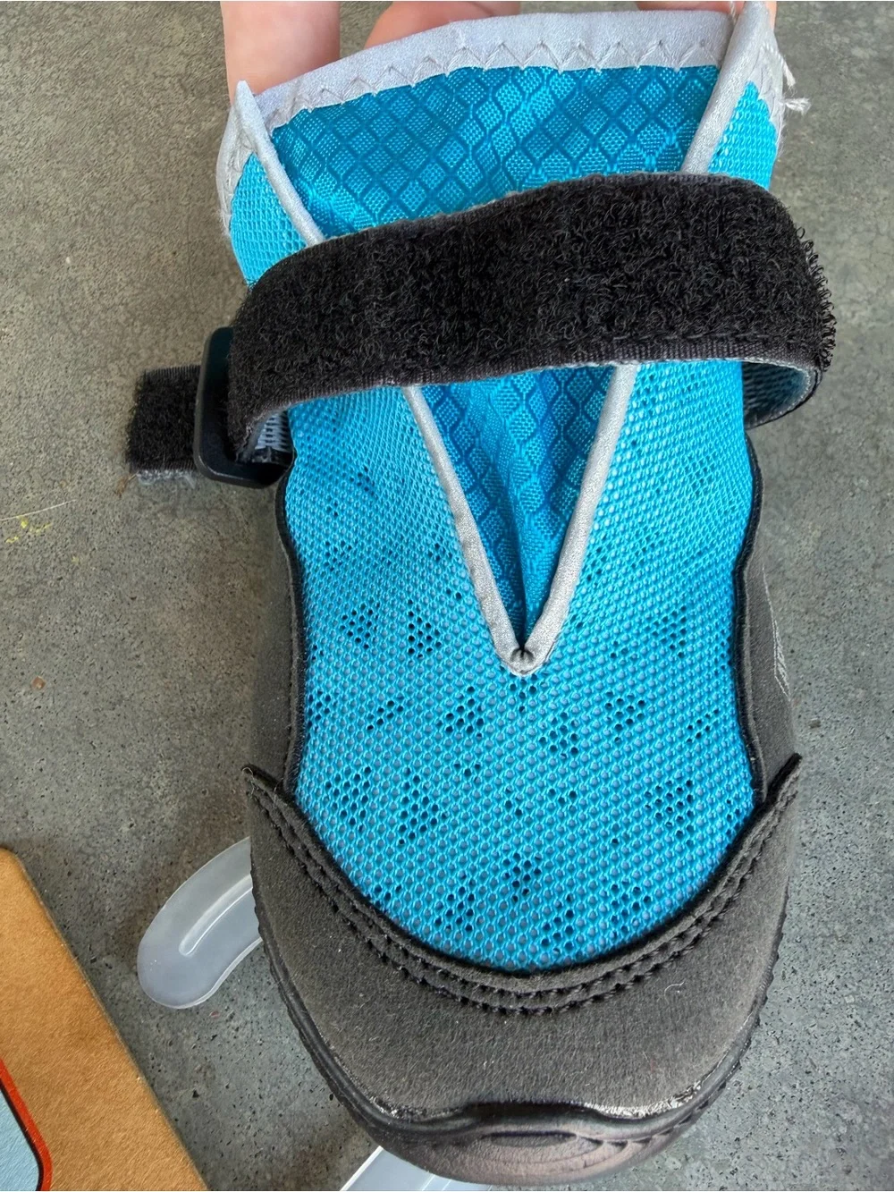 Dog warm weather boots Arcadia Trail size Large